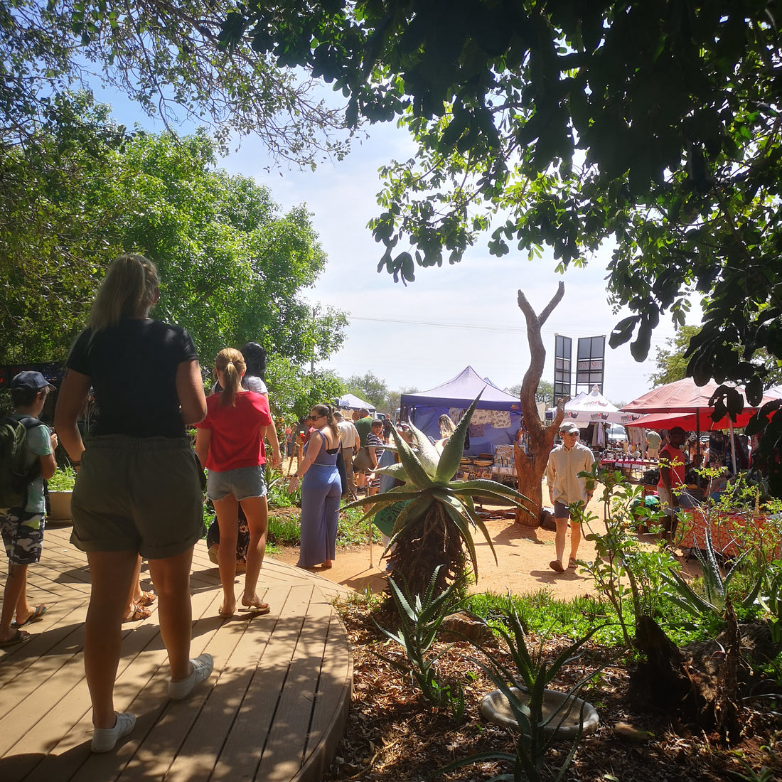 Hoedspruit Farmers market brings to you - all the shades of green