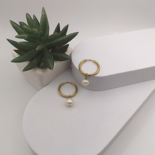 Golden Stainless Steel White Freshwater Pearl Hoop Earrings