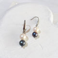 White freshwater pearls above smaller dark peacock pearls with blue-green highlights on silver-tone elegant ear hooks.